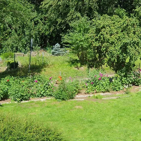 Ferienhaus In Geesthacht-Tesperhude Direkt Am Waldrand Extérieur photo