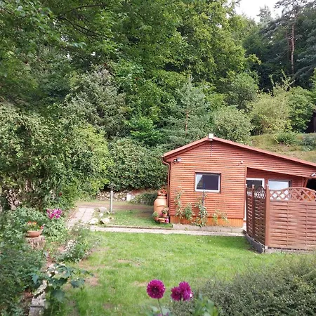 Ferienhaus In Geesthacht-Tesperhude Direkt Am Waldrand Extérieur photo