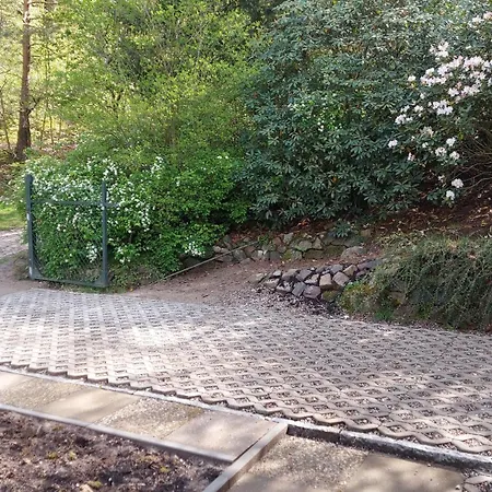 Ferienhaus In Geesthacht-Tesperhude Direkt Am Waldrand Extérieur photo