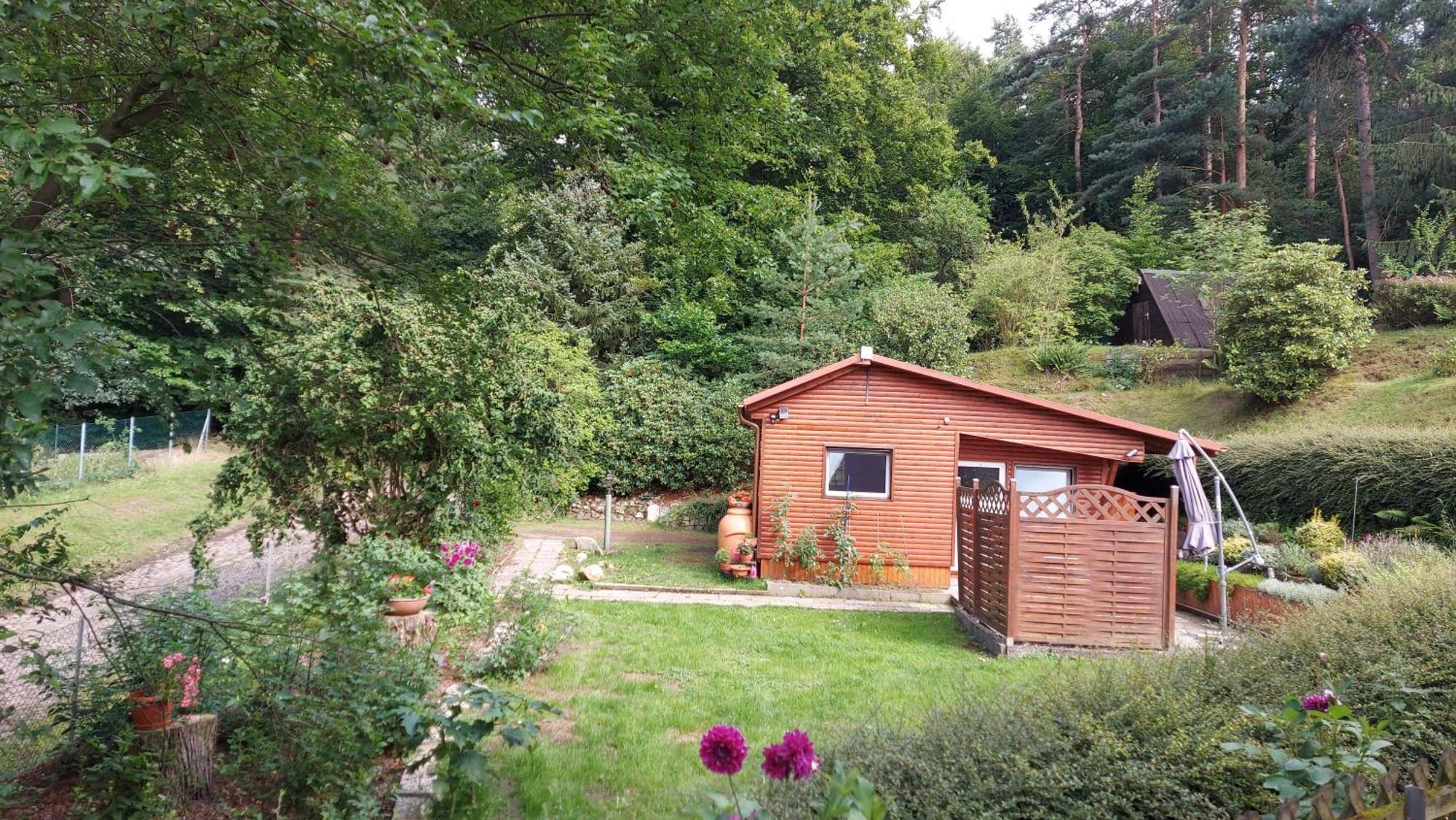 Ferienhaus In Geesthacht-tesperhude Direkt Am Waldrand Geesthacht